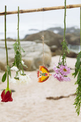 Pajarito papel Maché Colección Pepa espinoza